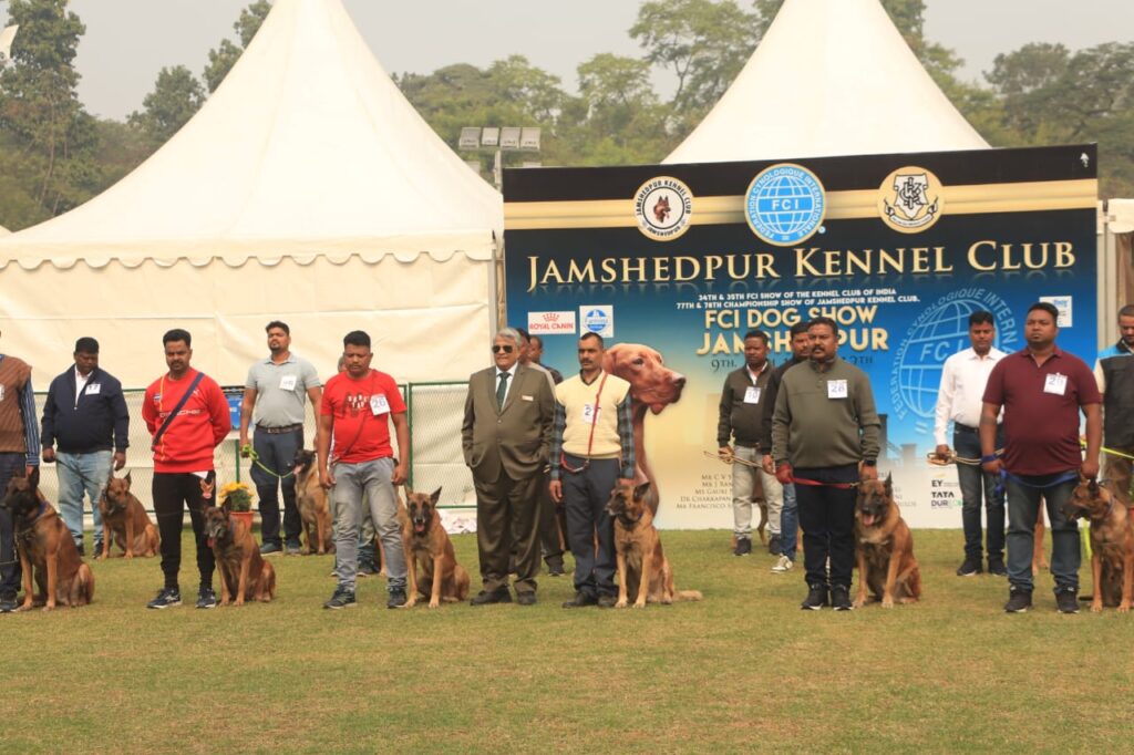 dog show 2 1024x682 1