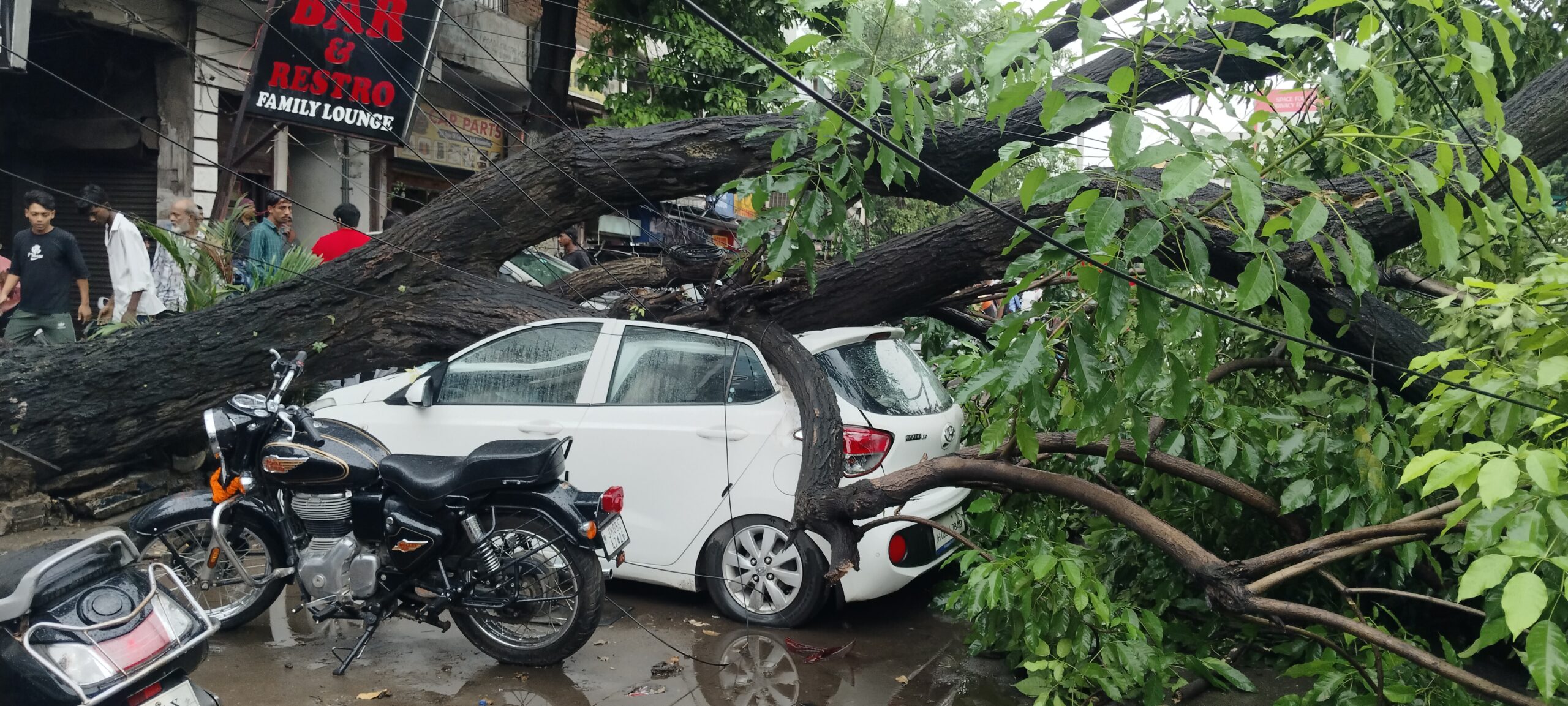 IMG 20250920 151419 1 scaled