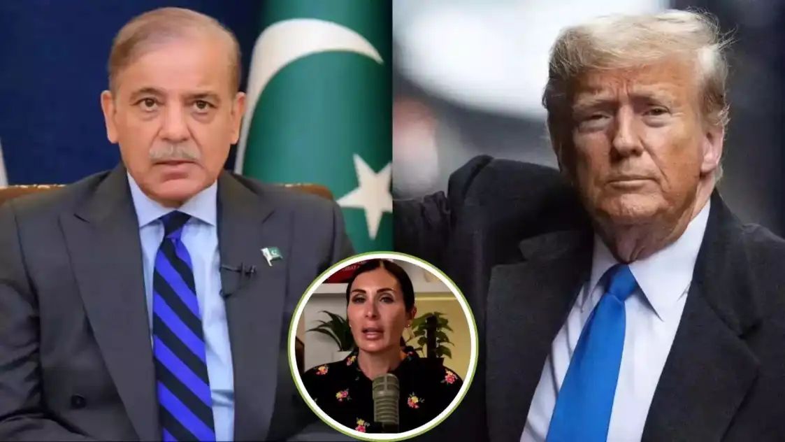 n7058893851774440971794a01763c9e4102ce42b52c87f6ab59d2a8c192bbcace8ebbbc18710c012404d77