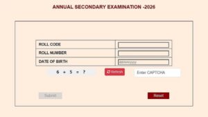 47de973302f6569164d98f0af3f199a595fef71d1378c6db819996e12130b5b2.0
