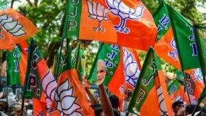 bjp flag